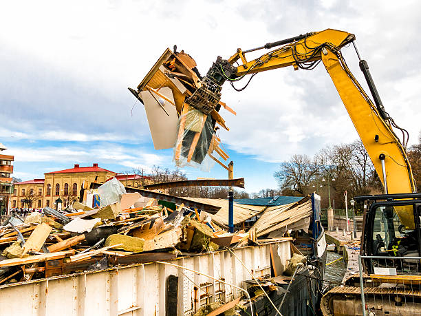 Yard Cleanup Services